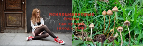 синтетический гашиш Михайлов