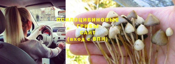 амф Михайловка