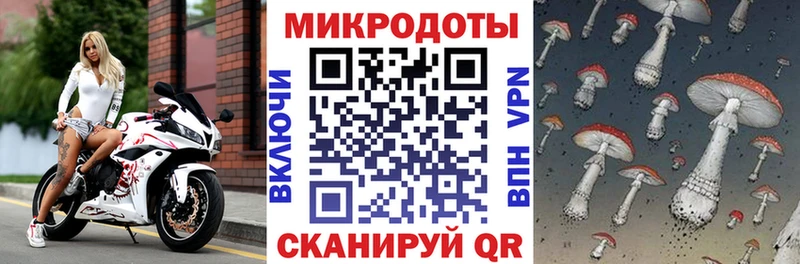 Псилоцибиновые грибы прущие грибы  Купить  Чкаловск 