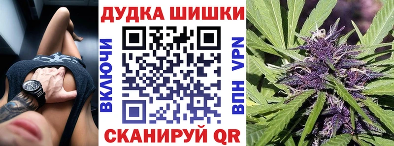 Купить где  Чкаловск  Конопля сатива 